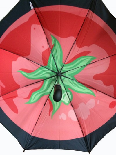 Custom print umbrella with custom inside.